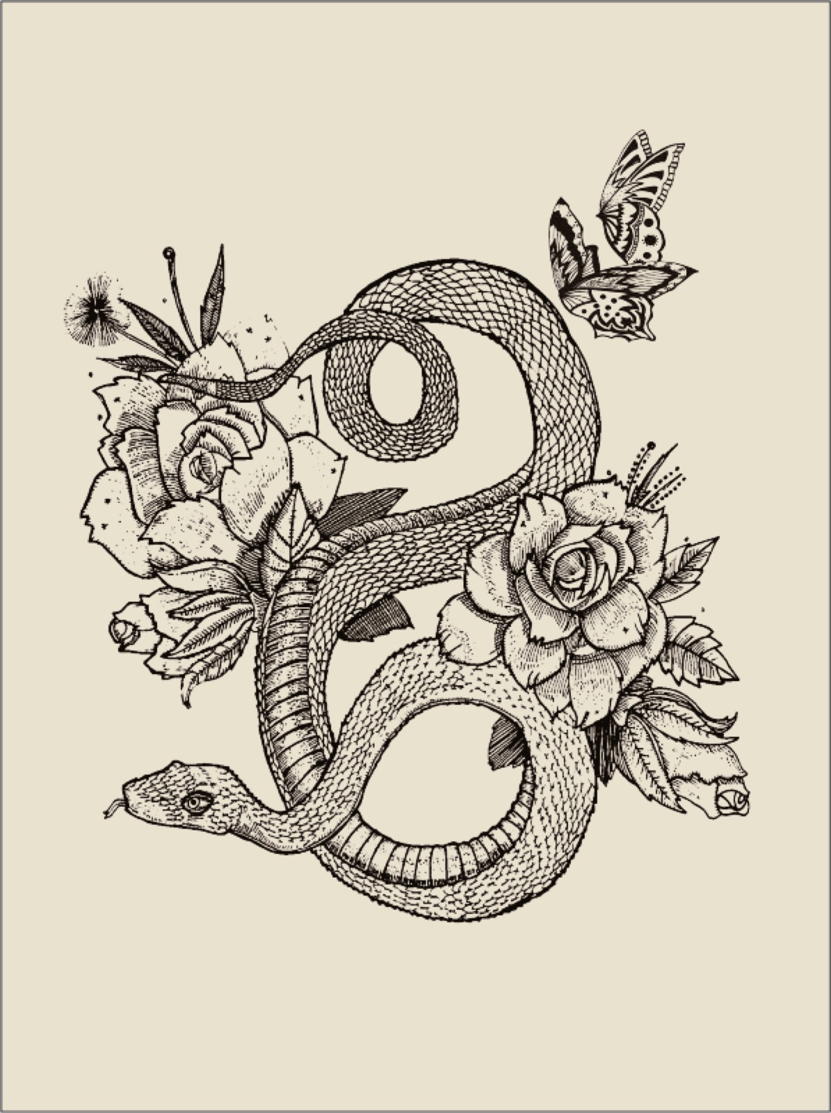 Archives de collections — CWF
